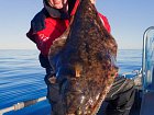 halibut - zari v kraji Finnmark