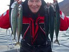makrely - zari v kraji Finnmark