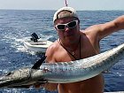 wahoo - makrela Solandrova ulovena na trolling
