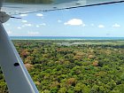 prales pri brezich Karibiku u Rio Indio z ptaci perspektivy