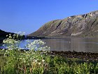 krajina-fjord u Handsnes