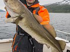 treska obecna