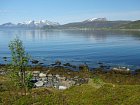 kveten v severnim Norsku - v risi polarniho dne