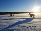 rybareni na dirkach v Helesjo