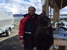 halibut z Larseng - 155 cm, ale jen 38 kg