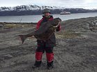 halibut 128 cm, 25 kg