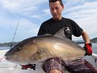 kranas oceansky - amberjack uloveny na jig