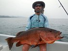 chnapal - cubera snapper uloveny na jig