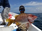 chnapal - snapper - pargo amarillo