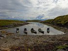 srpnove rybareni z kajaku v Hestoysund