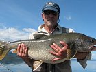 siven obrovsky - namaycush - lake trout