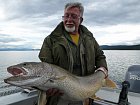 siven obrovsky - namaycush - lake trout