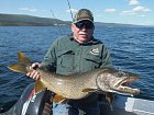 cervnovy siven obrovsky - namaycush - lake trout