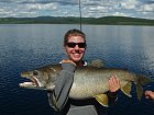 letni siven obrovsky - namaycush - lake trout
