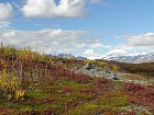 srpen - podzimni vyhled z Denali Highway k McLaren