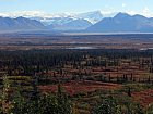 srpen - podzimni vyhled z Denali Highway