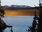 kanadsky Yukon - jen lesy, priroda a vy