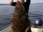 halibut 117 cm, zari v Einset