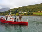 halibut uloveny v Hadselfjordu