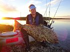 93 cm halibut