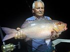 chnapal-red snapper 68 cm uloveny na kousek ryby nastrazeny u dna