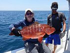 chnapal - cubera snapper 90 cm, uloveny na jig