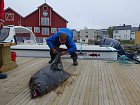halibut 155 cm, 45,5 kg v kotvisti lodi Batsfjord