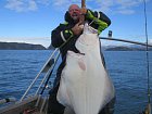 halibut 139 cm, srpen v kraji Finnmark