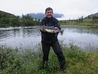jikrnacka lososa gorbusa, srpen v kraji Finnmark