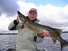 kvetnova stika 101 cm, 8,5 kg