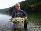 losos keta - dog - chum salmon uloveny na musku