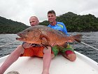 chnapal - cubera snapper 110 cm uloveny na popp