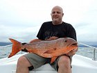 chnapal - mulet snapper