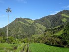 cesta do hor z udoli Cocora