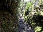 pres 500 let stara cesta na Paramo de Romerales
