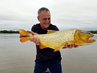 prvni letosni dorado