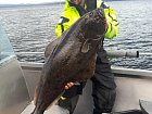 Helgeland Ferie - halibut 14 kg