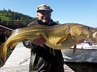 kvetnova treska obecna 111 cm ulovena na privlac