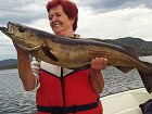 polak 92 cm z Imarsund, cervenec