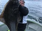 Halibut z Helgeland Ferie