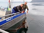 halibut 190 cm uloveny a pusteny na svobodu 7.7.