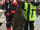 hsrpnovy halibut 138 cm