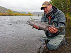 losos kisuc - coho salmon, jikrnacka