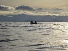 odpoledni rybareni v kraji Finnmark, Loppa
