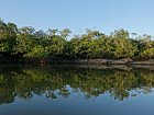 laguna Dorada na pritoku reky Orinoko