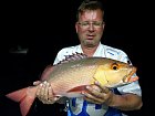 chnapal - red snapper 65 cm uloveny na polozenou - na kus ryby