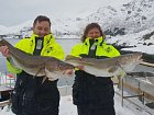 jarni tresky na Lofotech - nejbeznejsi velikost