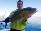 amberjack uloveny na jig