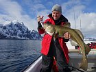 treska obecna - skrei 110 cm, duben ve Vestfjordu