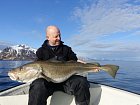 treska obecna - skrei 129 cm, 18,5 kg, duben ve Vestfjordu